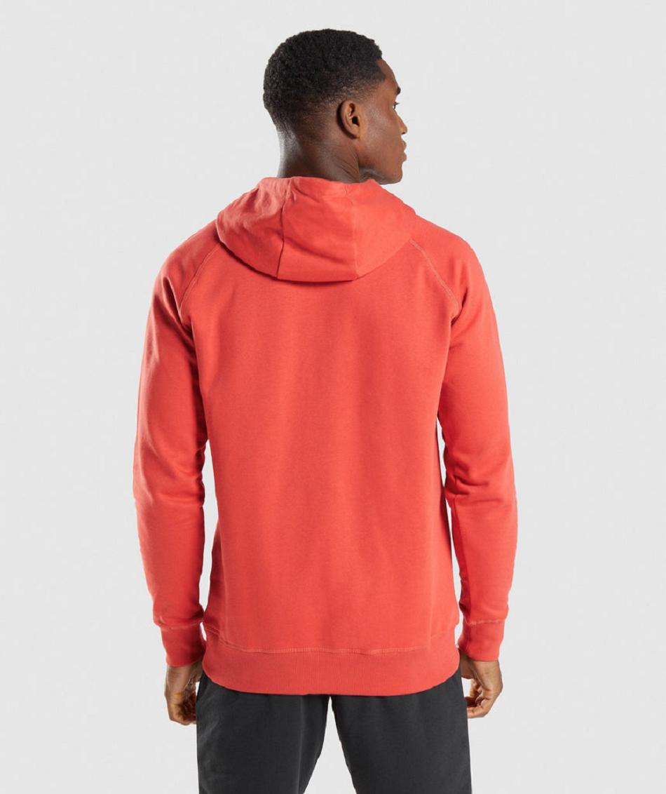 Gymshark Sharkhead Infill Muške Majica S Kapuljačom Crvene | HR 2719KOR